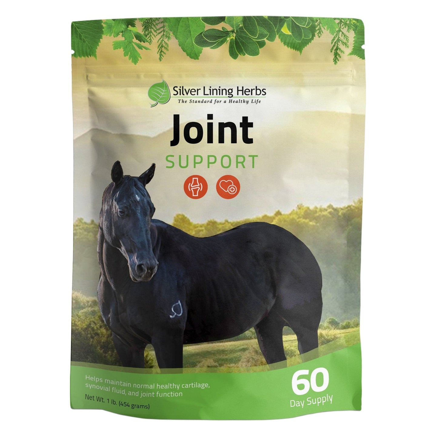 Joint Support for Horses