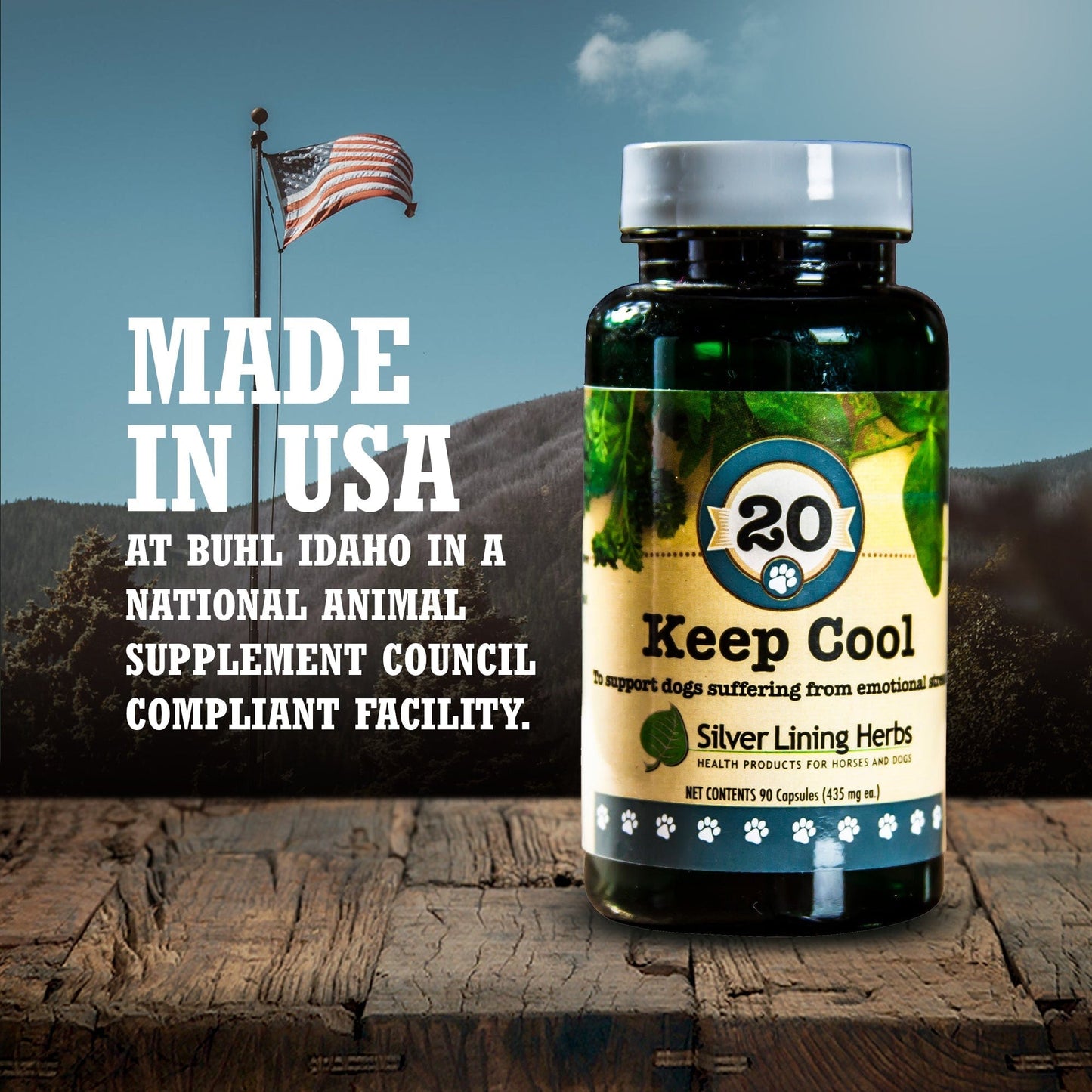 Keep Cool for Canines