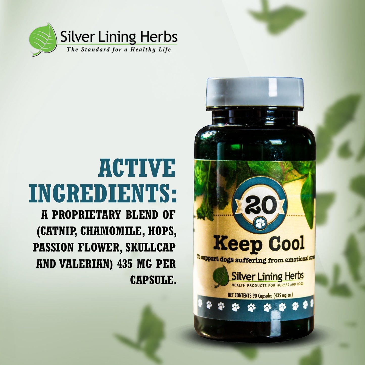 Keep Cool for Canines