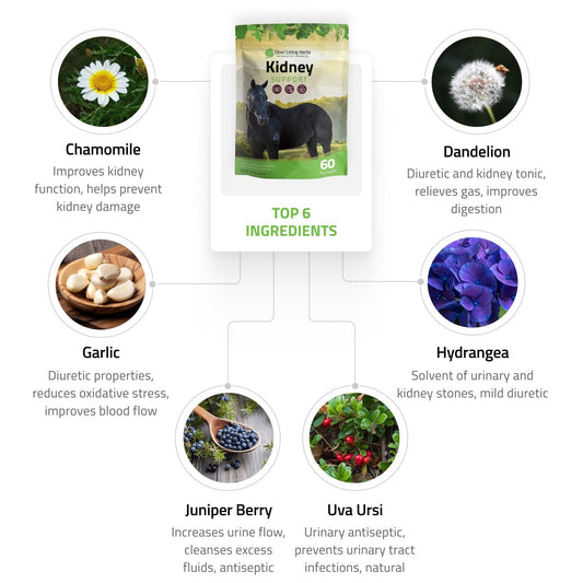 Kidney Support for Horses