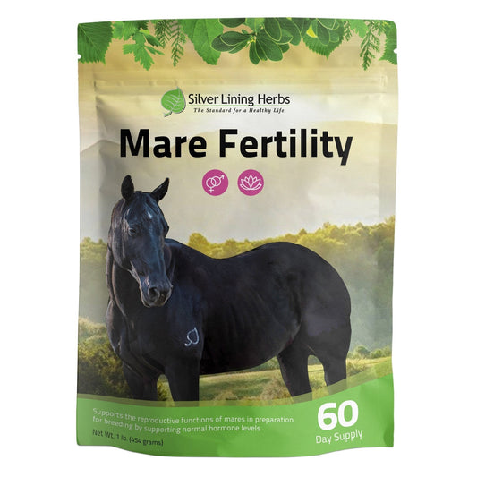 Mare Fertility For Horses