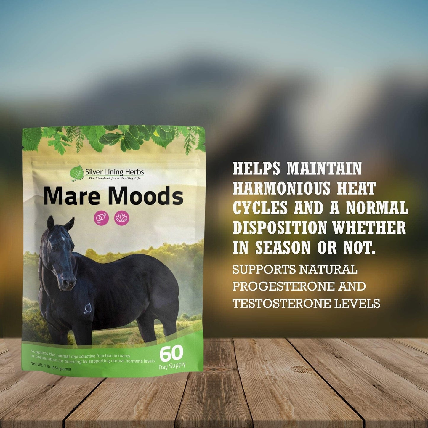 Mare Moods For Horses