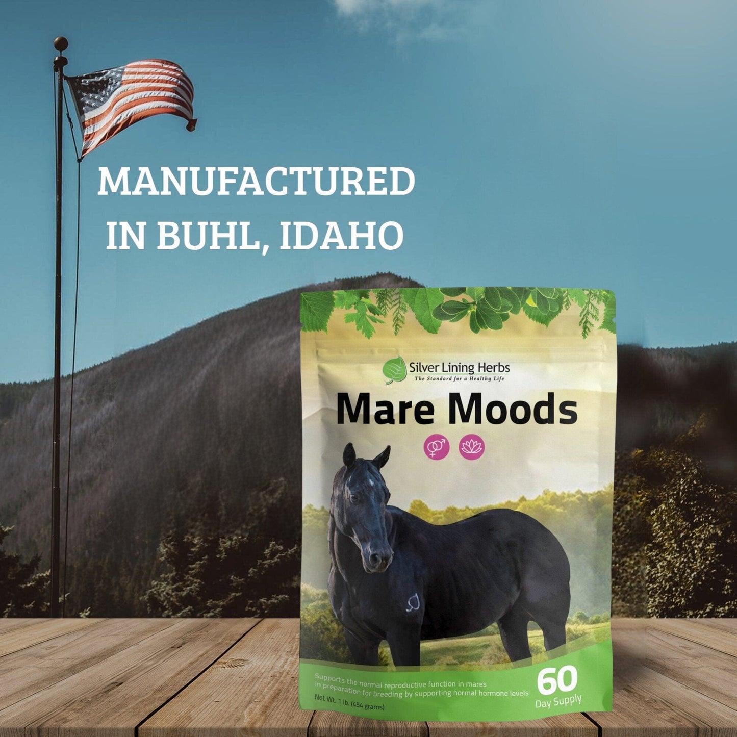 Mare Moods For Horses