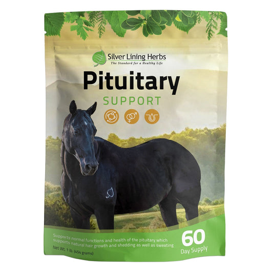 Pituitary Support for Horses
