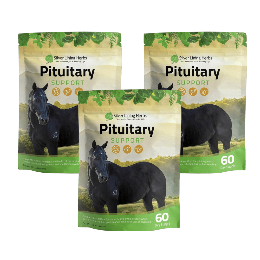 Pituitary Support for Horses