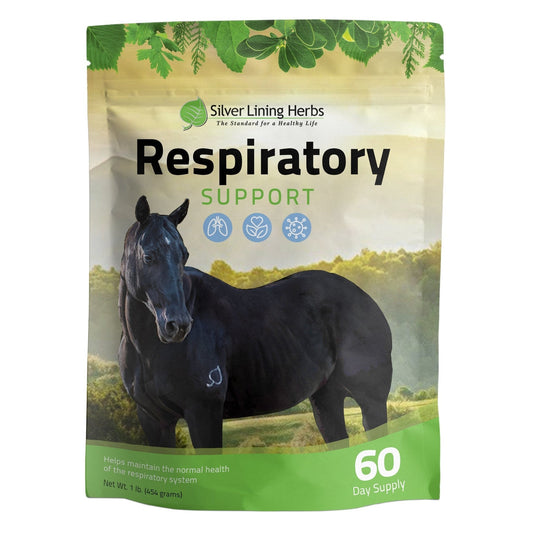 Respiratory Support for Horses
