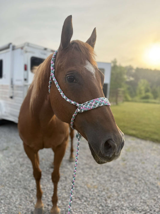 Four Color  MuleTape Halter W/ Lead- Customize