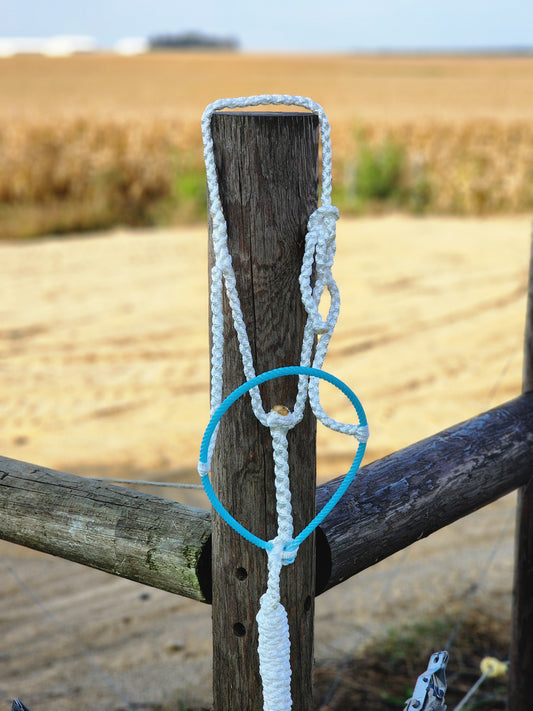 White w blue Noseband