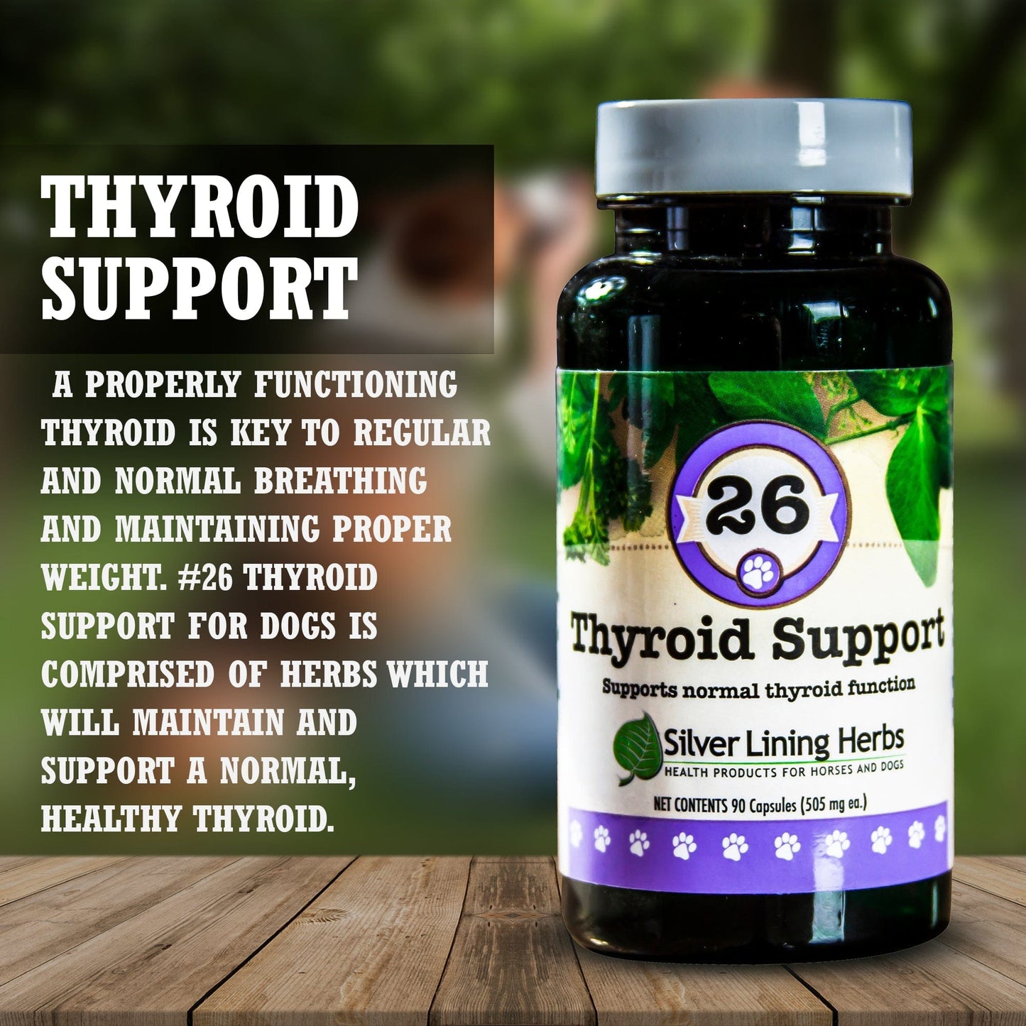 Thyroid Support for Canines